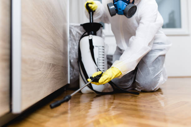 Best Best Pest Control Companies  in Ferndale, WA
