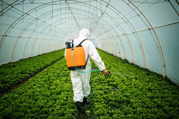 Best Commercial Pest Control Services  in Ferndale, WA