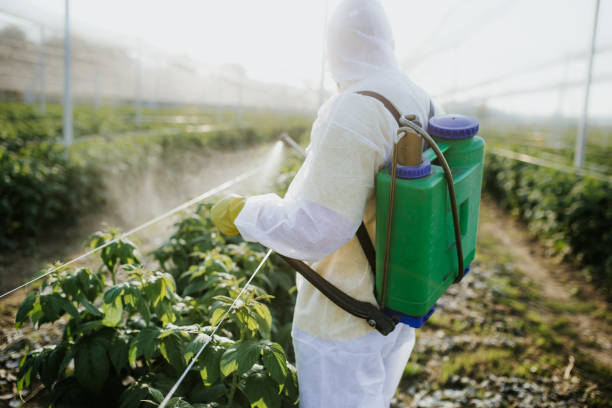  Ferndale, WA Pest Control Pros